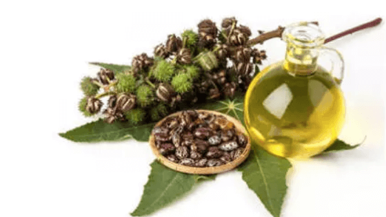 Natural skin care castor oil